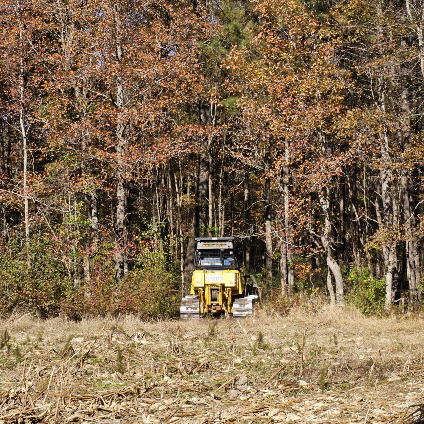 Forestry equipment clearing land for trails and access