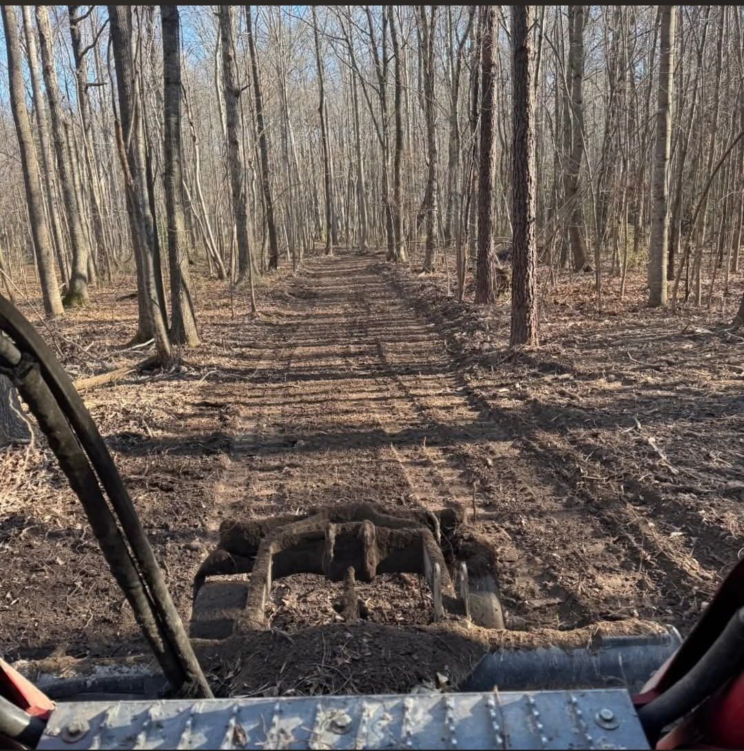 A trail being cleared and constructed through the woods